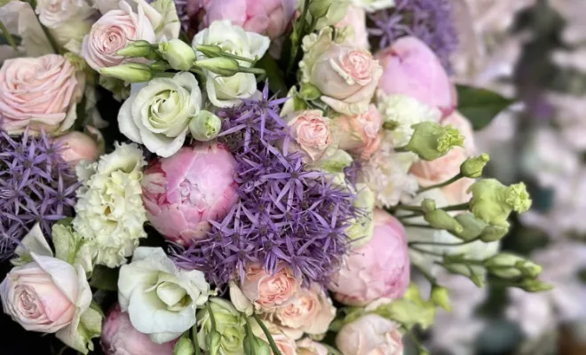 bouquet de pivoine , Marseille 9, LE GYPSO