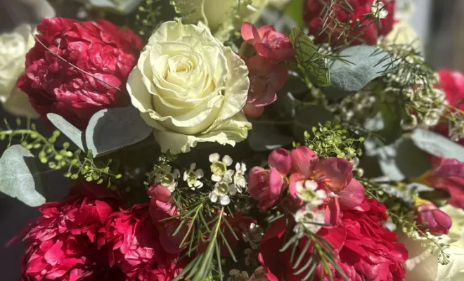 bouquet de pivoine , Marseille 9, LE GYPSO